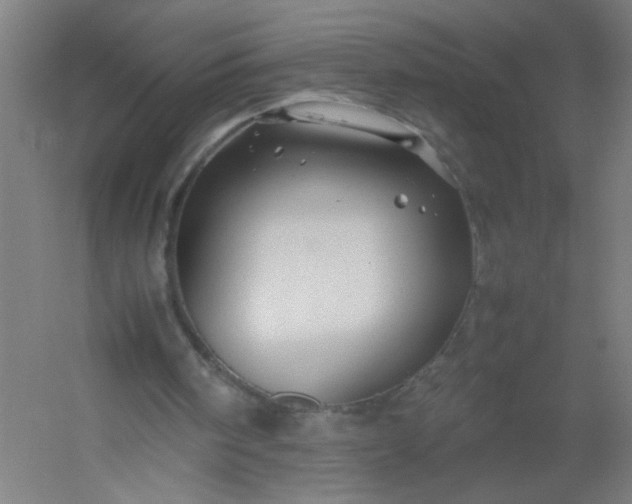 X0000054410098200508121736