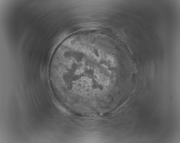 X0000054410099200508121736