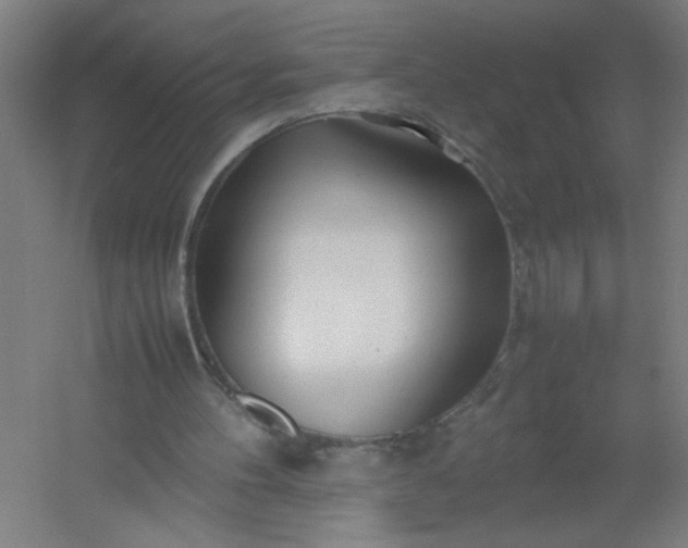 X0000054410100200508121736