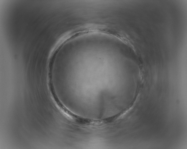 X0000054410101200508121736