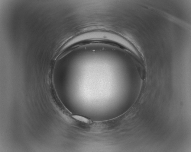 X0000054410105200508121736