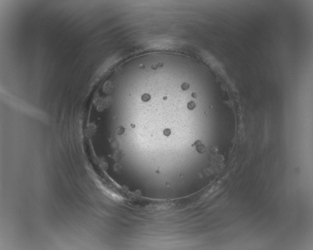 X0000054410106200508121735