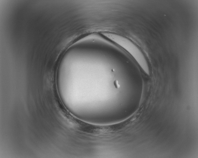 X0000054410107200508121735