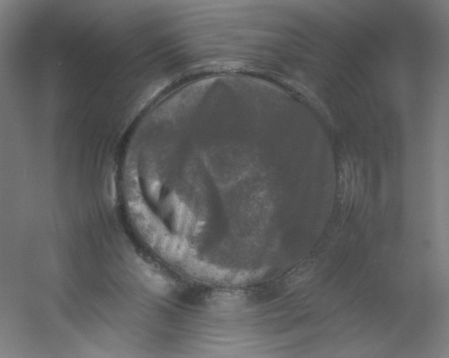 X0000054410110200508121735