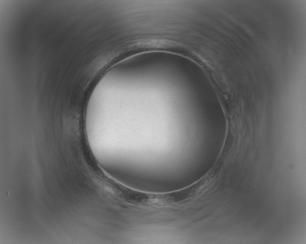 X0000054410111200508121735