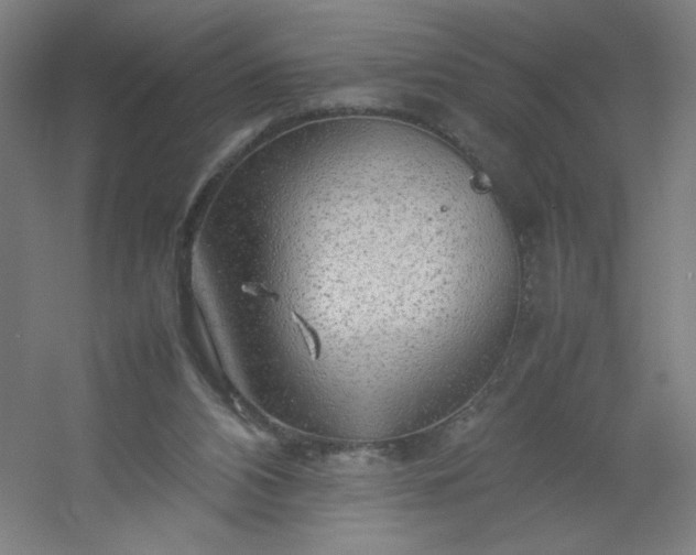 X0000054410112200508121735