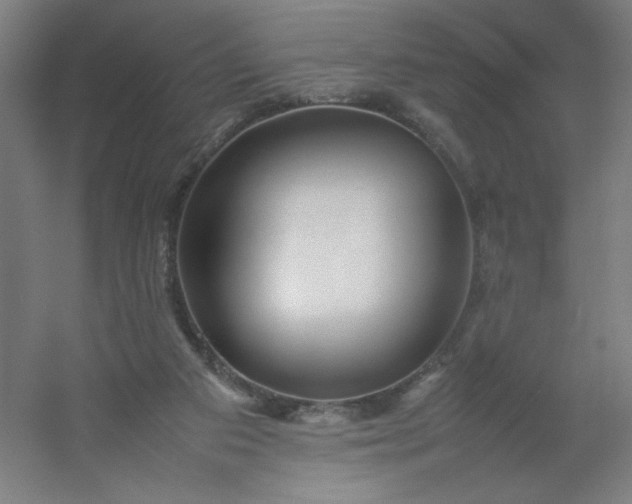 X0000054410113200508121735