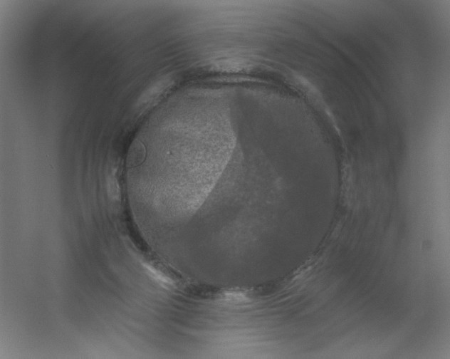 X0000054410114200508121735