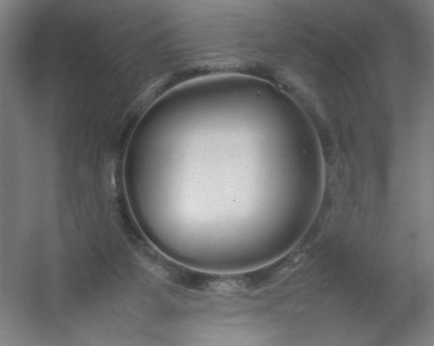 X0000054410115200508121735