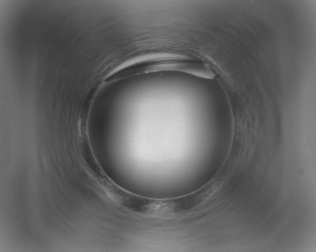 X0000054410117200508121735