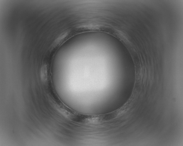 X0000054410120200508121735