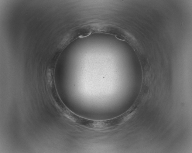 X0000054410121200508121735