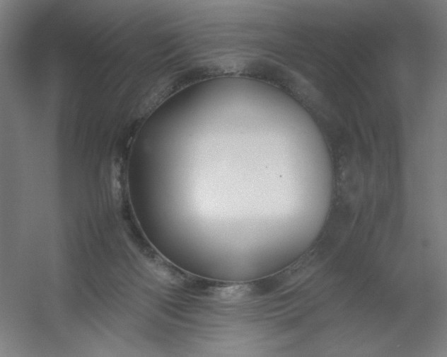 X0000054410122200508121735