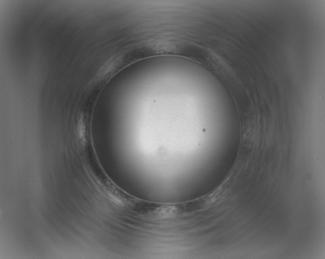 X0000054410124200508121735