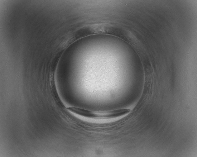 X0000054410125200508121735