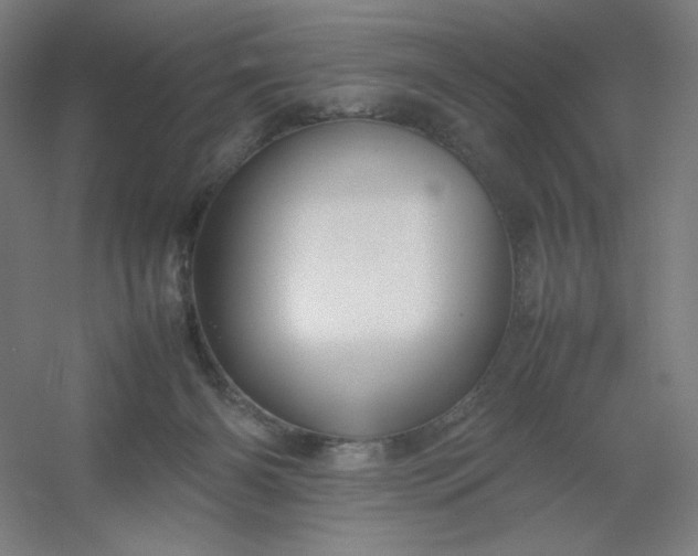 X0000054410126200508121735