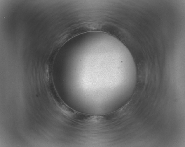 X0000054410128200508121735