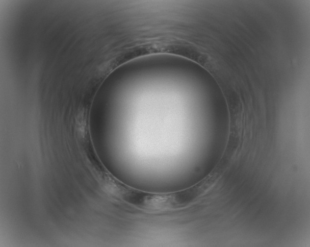 X0000054410129200508121735