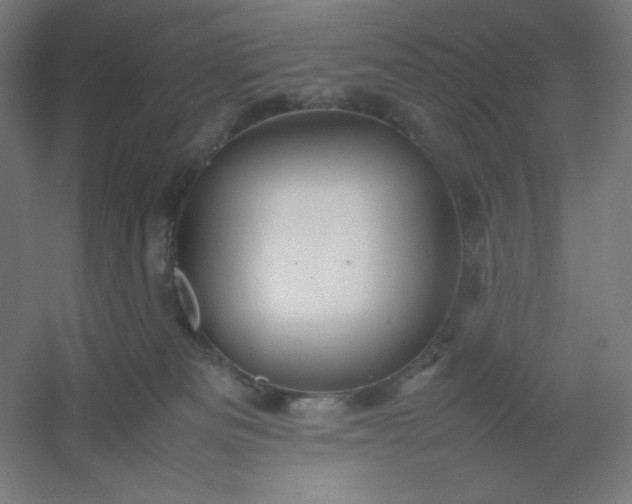 X0000054410133200508121735