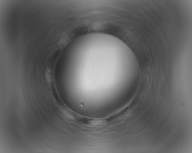 X0000054410135200508121735