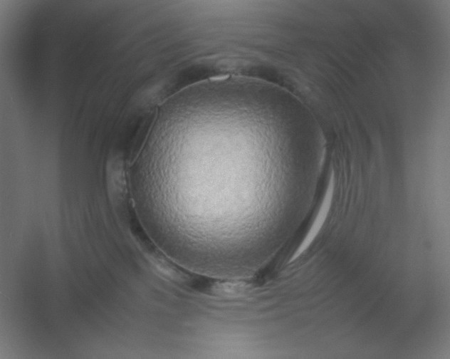 X0000054410137200508121735