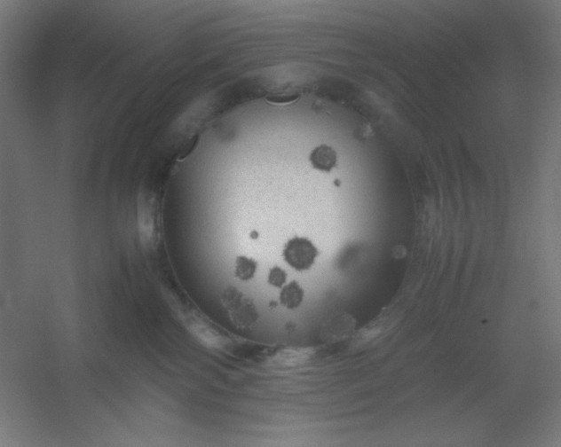 X0000054410138200508121735