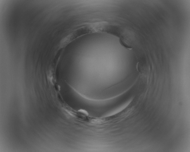 X0000054410139200508121735