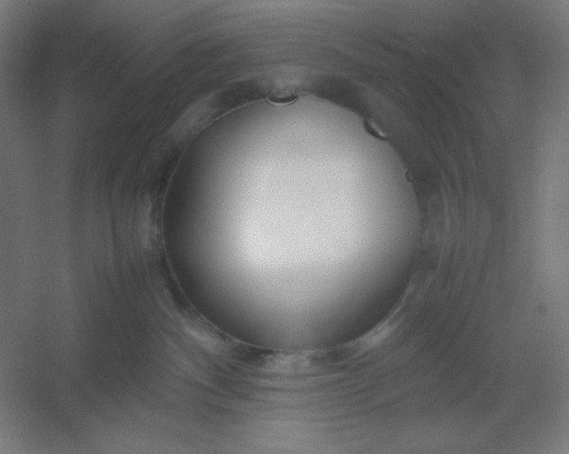 X0000054410140200508121735