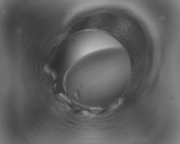 X0000054410143200508121735