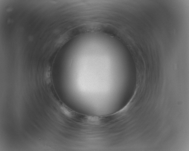 X0000054410144200508121735