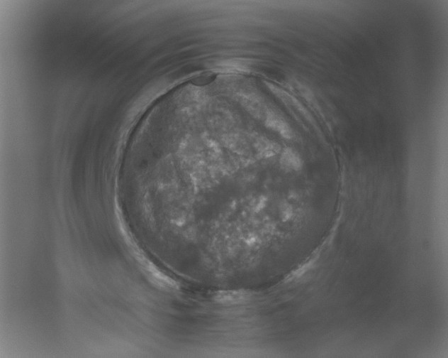 X0000054410145200508121734