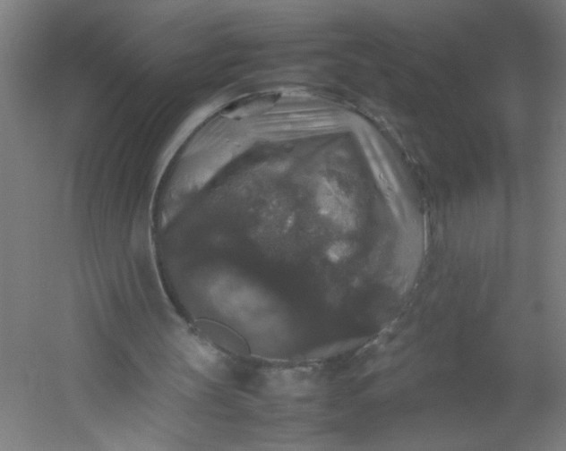 X0000054410147200508121734