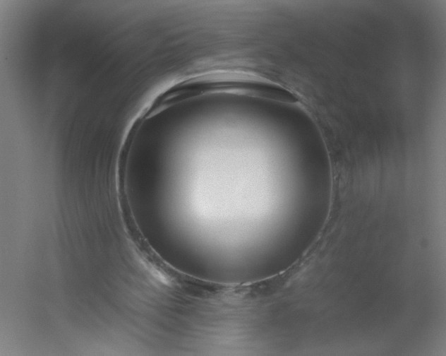 X0000054410148200508121734