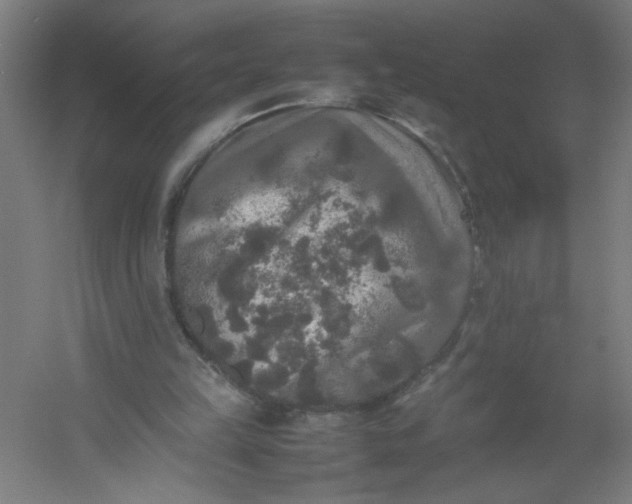 X0000054410149200508121734