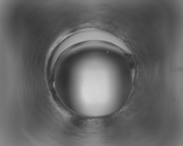 X0000054410150200508121734