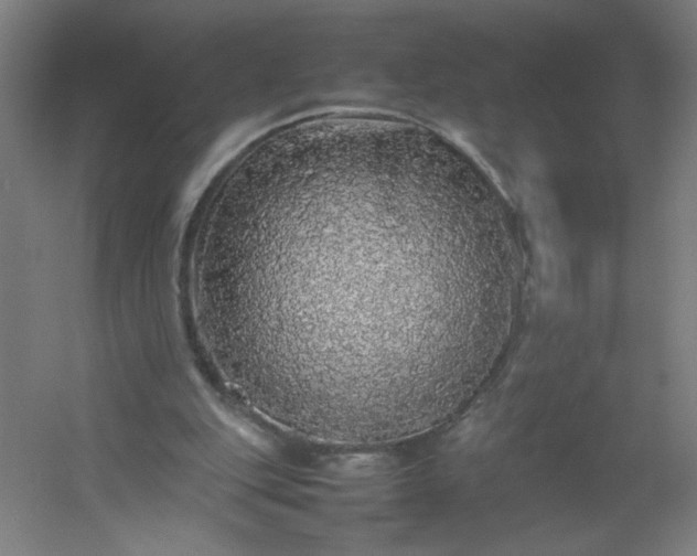 X0000054410151200508121734