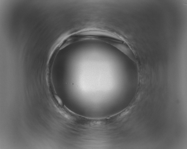 X0000054410152200508121734