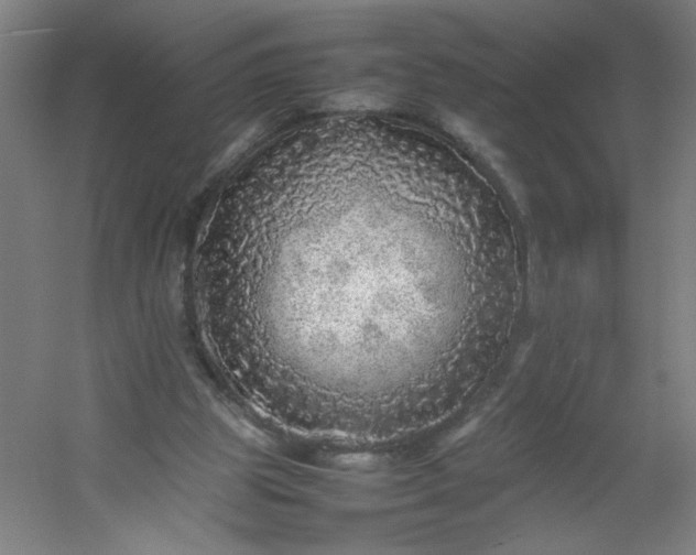 X0000054410153200508121734