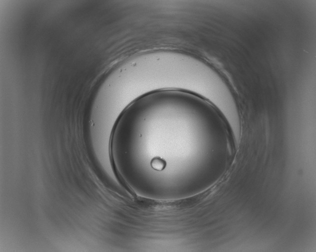 X0000054410154200508121734