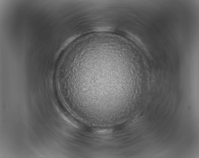 X0000054410155200508121734