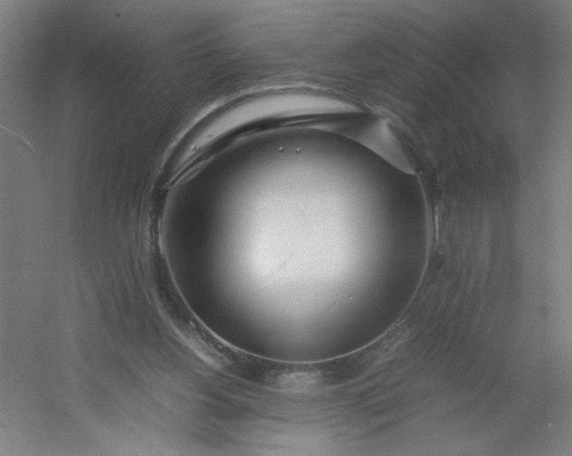 X0000054410156200508121734