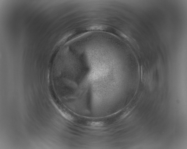 X0000054410157200508121734