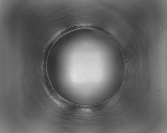 X0000054410159200508121734