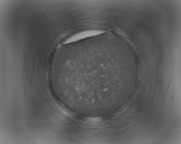 X0000054410161200508121734