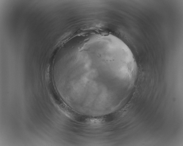 X0000054410163200508121734