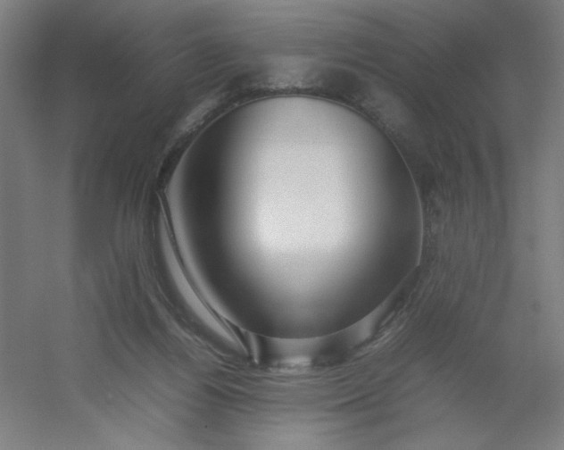 X0000054410164200508121734