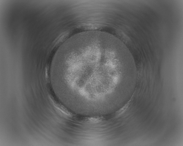 X0000054410166200508121734