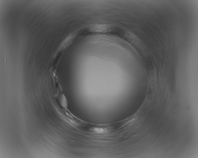 X0000054410167200508121734