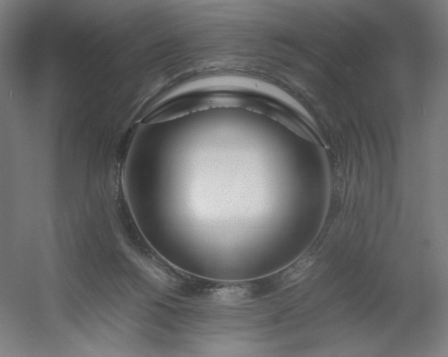 X0000054410168200508121734