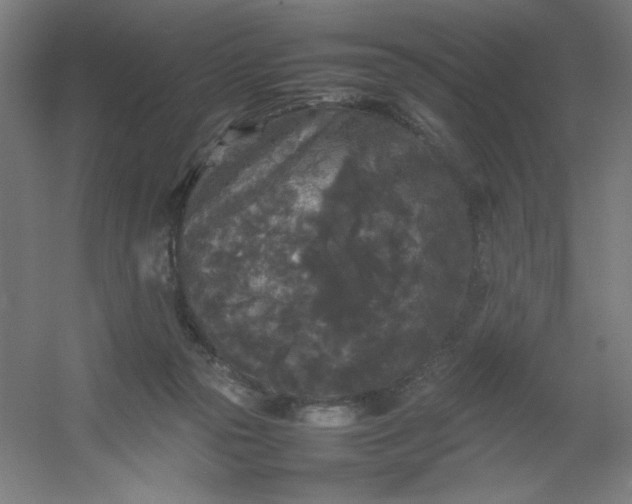 X0000054410169200508121734